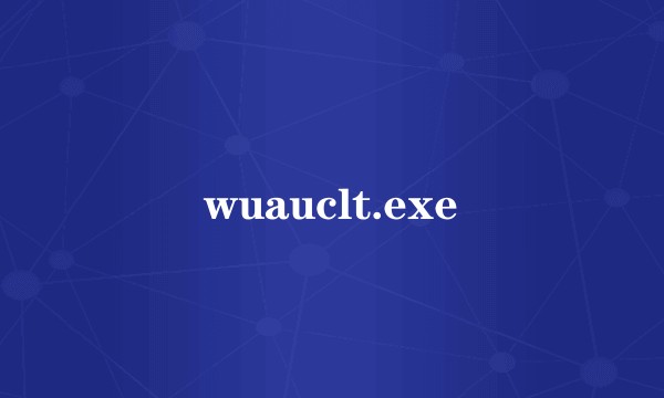 wuauclt.exe