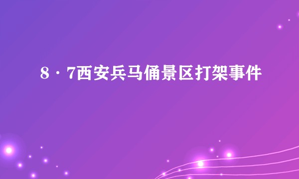 8·7西安兵马俑景区打架事件