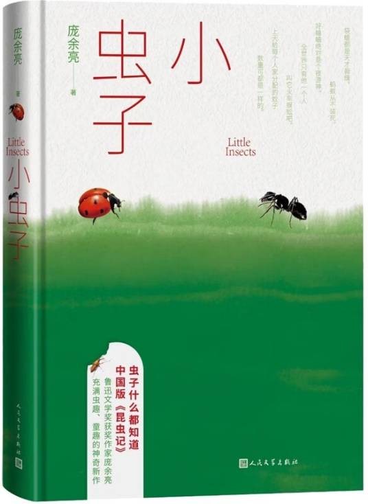 小虫子(庞余亮创作的散文集)