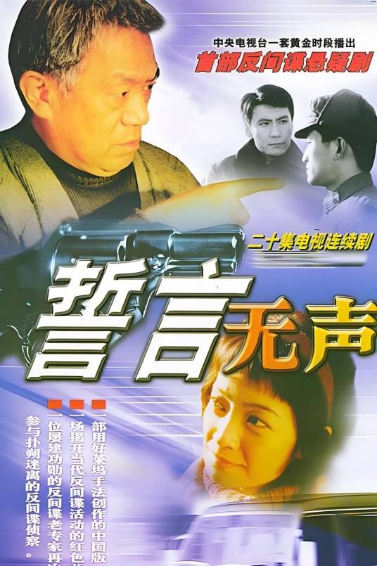 誓言无声（2002年毛卫宁执导的电视剧）