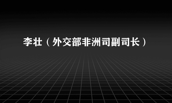 李壮（外交部非洲司副司长）