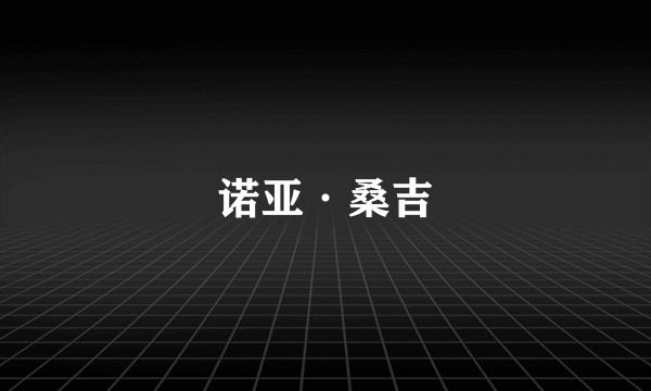 诺亚·桑吉