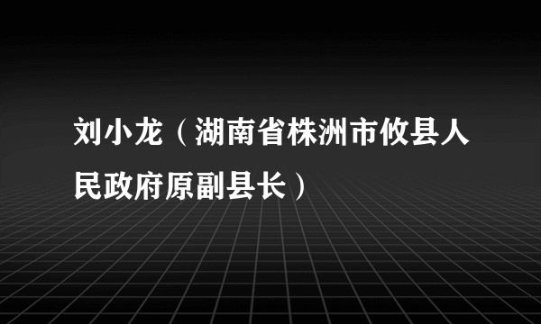 刘小龙（湖南省株洲市攸县人民政府原副县长）