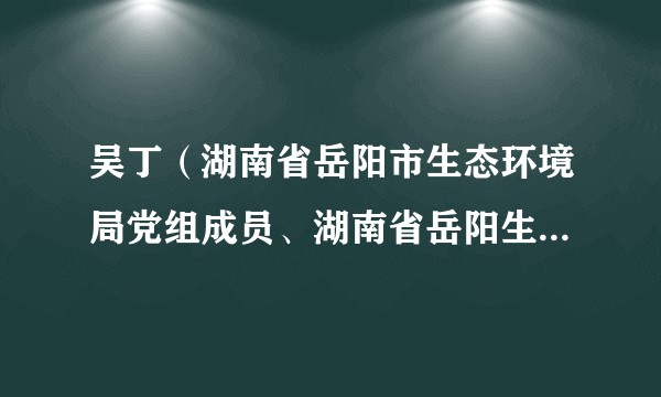 吴丁（湖南省岳阳市生态环境局党组成员、湖南省岳阳生态环境监测中心党总支书记、主任）