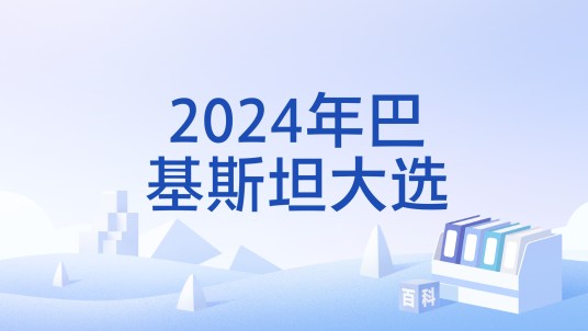 2024年巴基斯坦大选