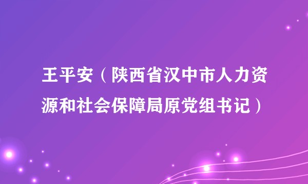 王平安（陕西省汉中市人力资源和社会保障局原党组书记）
