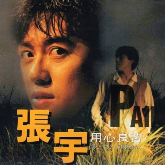 因为是你（1993年张宇、凡人二重唱演唱的歌曲）
