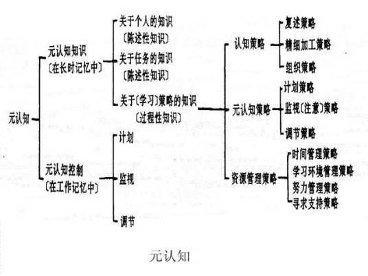 元认知(2014年机械工业出版社出版的图书)