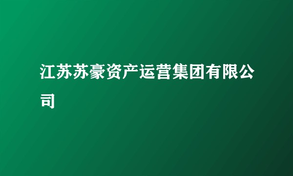 江苏苏豪资产运营集团有限公司