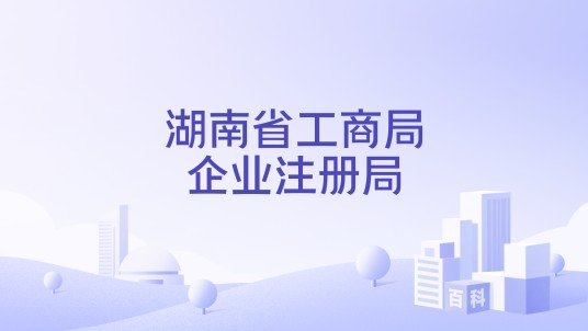 湖南省工商局企业注册局