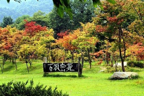 南怡岛