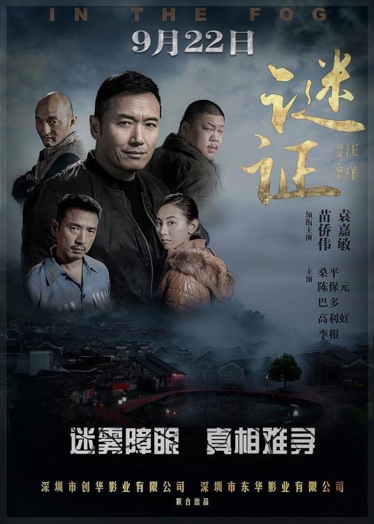 谜证（2017年汪洋执导的剧情电影）