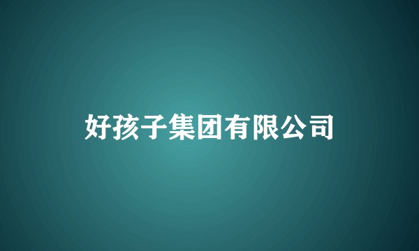 好孩子集团有限公司