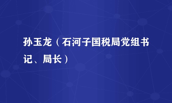孙玉龙(石河子国税局党组书记、局长)
