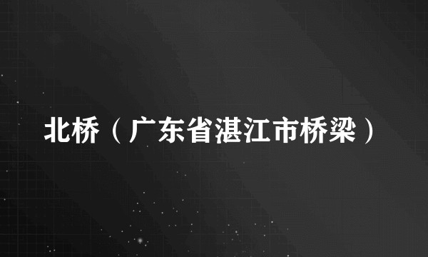 北桥（广东省湛江市桥梁）