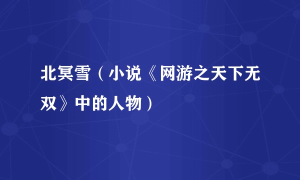 北冥雪（小说《网游之天下无双》中的人物）