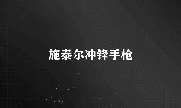 施泰尔冲锋手枪