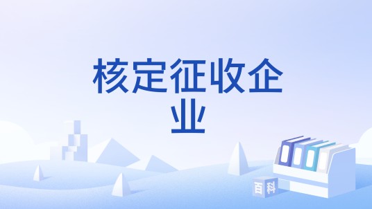 核定征收企业