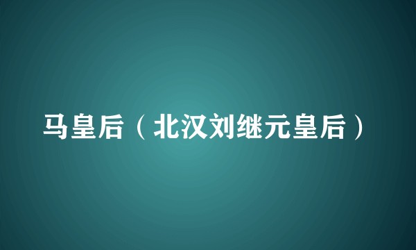 马皇后（北汉刘继元皇后）