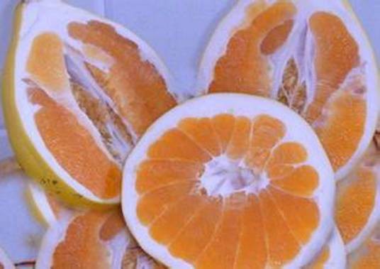 黄金蜜柚