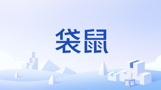 袋鼠（多功能婴儿背袋）