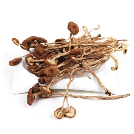 茶树菇