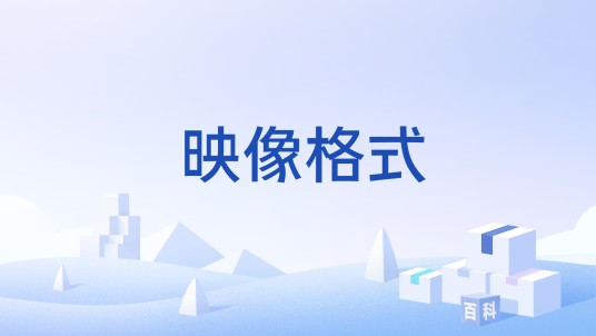 映像格式