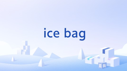 ice bag