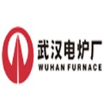 武汉电炉有限公司