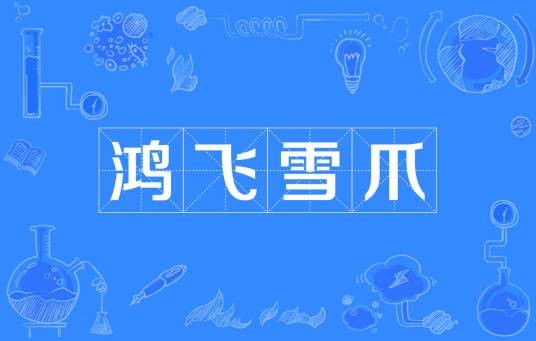 鸿飞雪爪