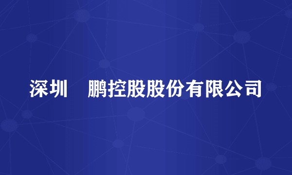 深圳鹍鹏控股股份有限公司