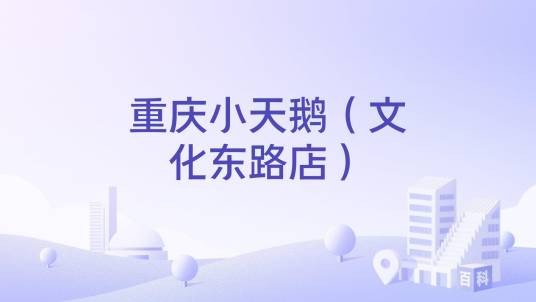 重庆小天鹅（文化东路店）