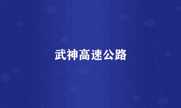 武神高速公路