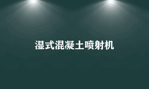 湿式混凝土喷射机