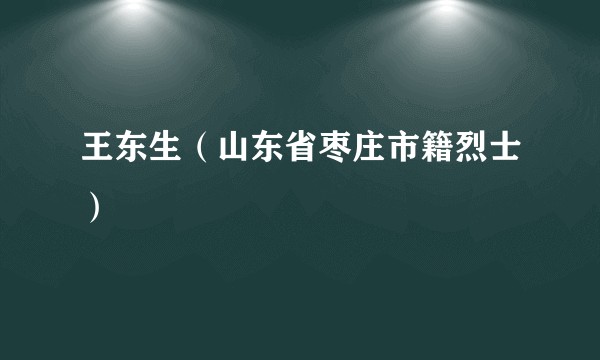 王东生（山东省枣庄市籍烈士）