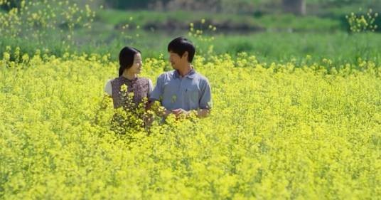 莱娜（韩国2016年朴奇琳、金民材主演电影）