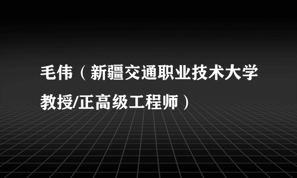 毛伟（新疆交通职业技术大学教授/正高级工程师）