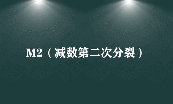 M2（减数第二次分裂）
