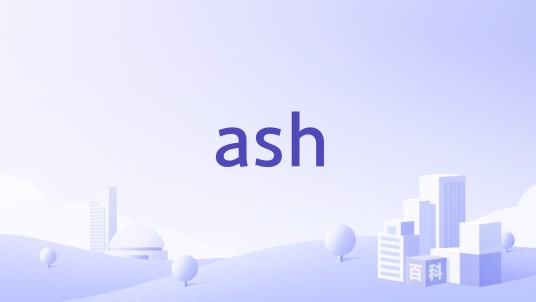 ash（晏殊国际集团有限公司旗下的鞋类品牌）
