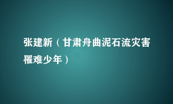 张建新（甘肃舟曲泥石流灾害罹难少年）