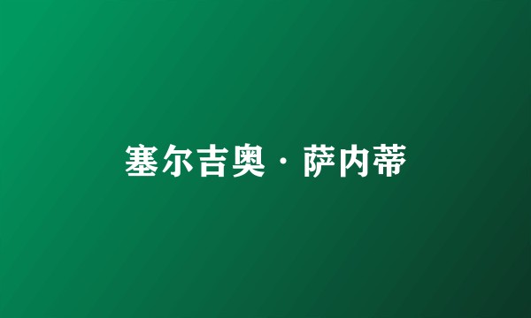 塞尔吉奥·萨内蒂