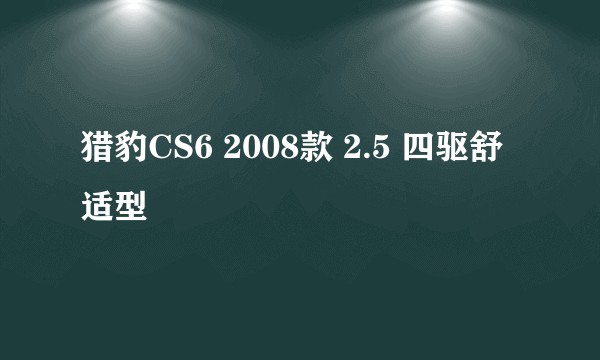 猎豹CS6 2008款 2.5 四驱舒适型