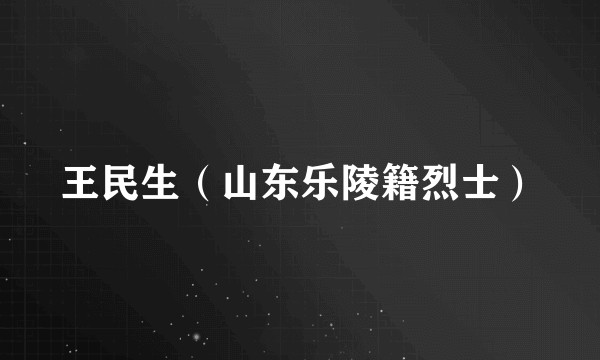 王民生（山东乐陵籍烈士）