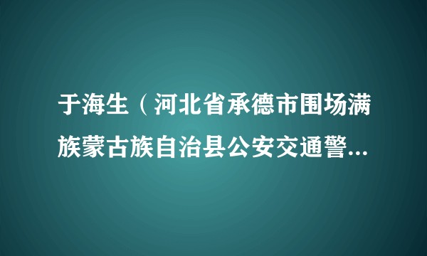 于海生（河北省承德市围场满族蒙古族自治县公安交通警察大队综合业务监管中心辅警）