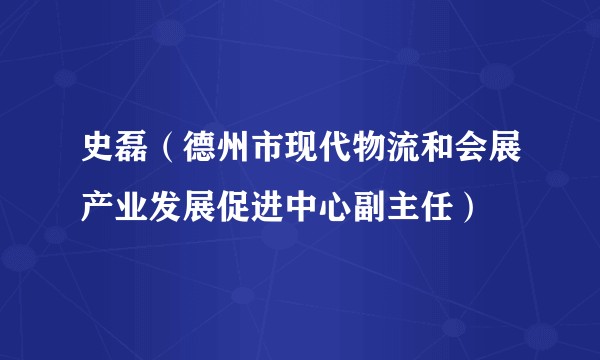 史磊（德州市现代物流和会展产业发展促进中心副主任）