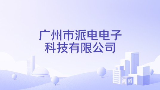 广州市派电电子科技有限公司