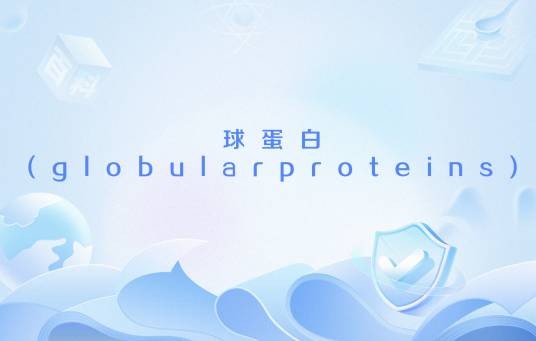 球蛋白(globularproteins)