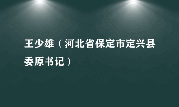 王少雄（河北省保定市定兴县委原书记）
