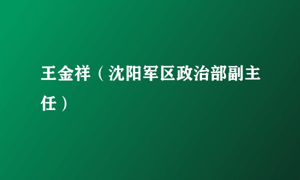 王金祥（沈阳军区政治部副主任）