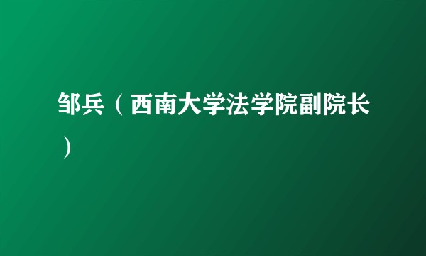 邹兵（西南大学法学院副院长）